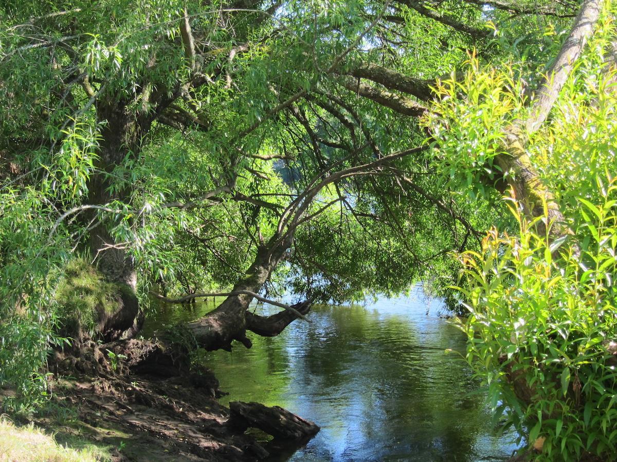 On The River Tamahere ภายนอก รูปภาพ